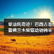 零油耗奇迹!巴西古董雪佛兰木柴驱动驰骋半世纪(图2) 零油耗奇迹!巴西古董雪佛兰木柴驱动驰骋半世纪(图2)