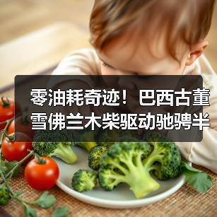 零油耗奇迹!巴西古董雪佛兰木柴驱动驰骋半世纪(图1) 零油耗奇迹!巴西古董雪佛兰木柴驱动驰骋半世纪(图1)