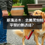 斯温漆木:北美黑胡桃平替的新选择?(图2) 斯温漆木:北美黑胡桃平替的新选择?(图2)