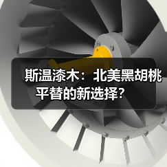 斯温漆木:北美黑胡桃平替的新选择?(图3) 斯温漆木:北美黑胡桃平替的新选择?(图3)