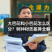 大巴花和小巴花怎么区分?树种材质差异全解析(图2) 大巴花和小巴花怎么区分?树种材质差异全解析(图2)