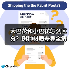 大巴花和小巴花怎么区分?树种材质差异全解析(图4) 大巴花和小巴花怎么区分?树种材质差异全解析(图4)