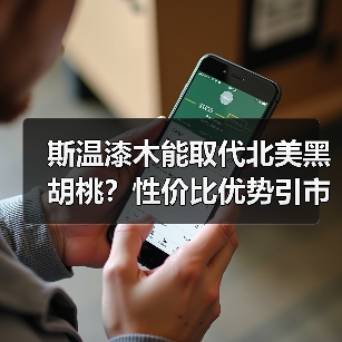 斯温漆木能取代北美黑胡桃?性价比优势引市场热议(图2) 斯温漆木能取代北美黑胡桃?性价比优势引市场热议(图2)