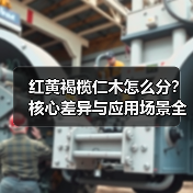 红黄褐榄仁木怎么分?核心差异与应用场景全解析(图4) 红黄褐榄仁木怎么分?核心差异与应用场景全解析(图4)