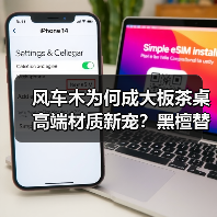 风车木为何成大板茶桌高端材质新宠?黑檀替代真相解析(图2) 风车木为何成大板茶桌高端材质新宠?黑檀替代真相解析(图2)