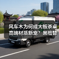 风车木为何成大板茶桌高端材质新宠?黑檀替代真相解析(图3) 风车木为何成大板茶桌高端材质新宠?黑檀替代真相解析(图3)