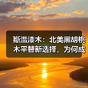 斯温漆木：北美黑胡桃木平替新选择，为何成为市场热捧？（图2）